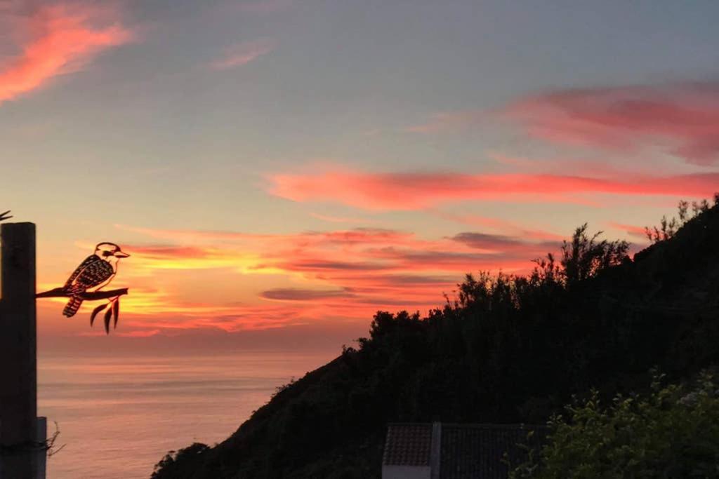 蓬塔德尔加达Sunset Nest别墅 外观 照片